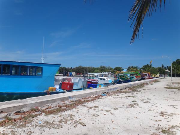 Colorful boats moored at concrete jetty, white sand and palm tree under blue sky