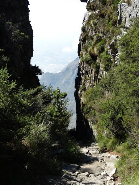 On Table Mountain