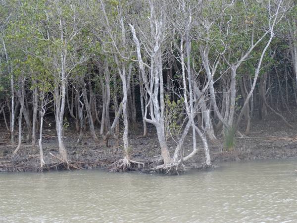 iSimangaliso