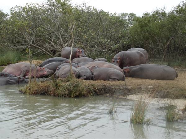 iSimangaliso