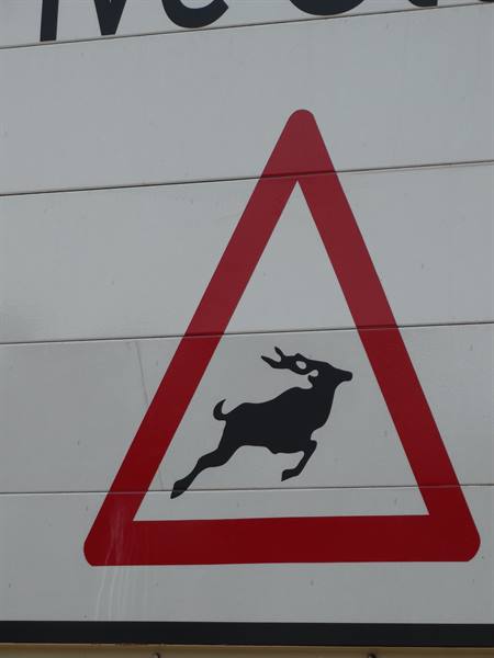 Red triangular sign with leaping black deer painted on white wall