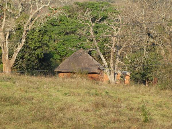 Mabuda Farm