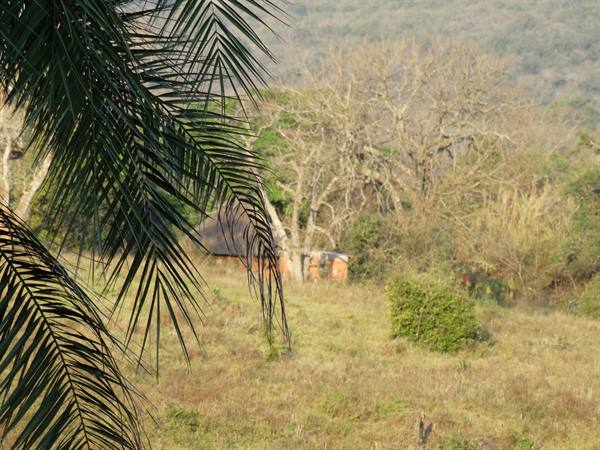 Mabuda Farm