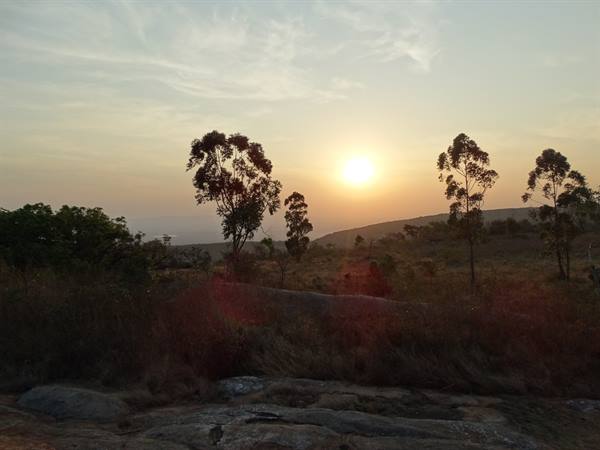 Mabuda Farm
