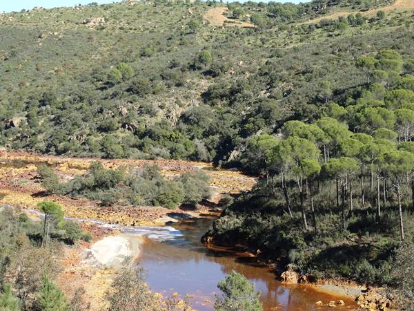 The Rio Tinto