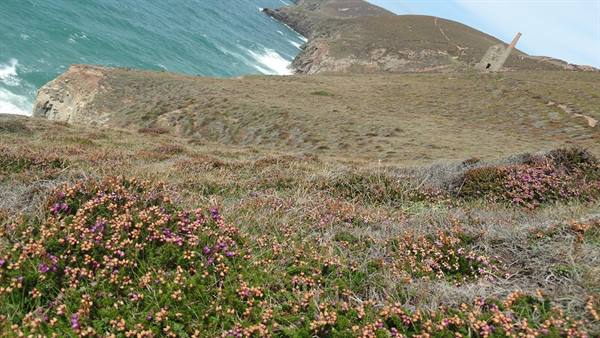 Cliffs..and mines