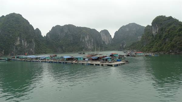 Ha Long