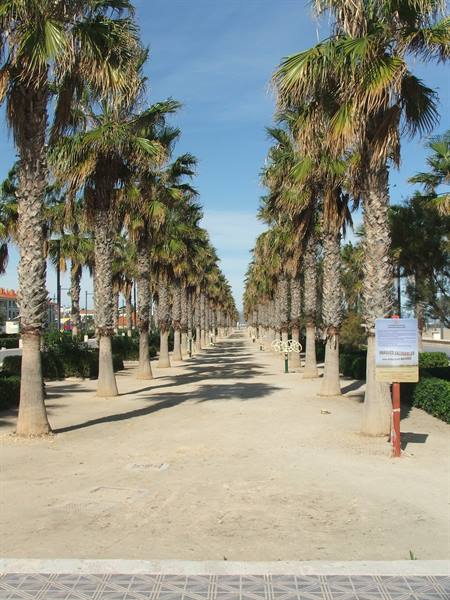 La Malvarrosa, seafront