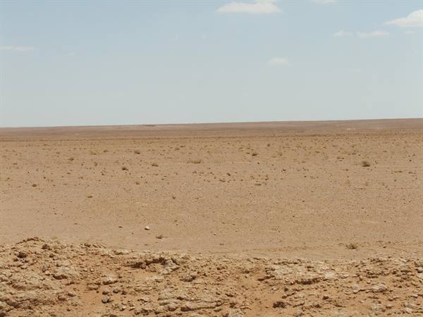 The desert