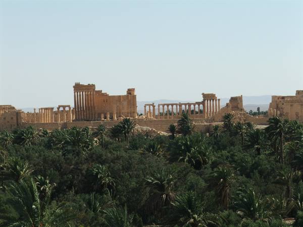 Palmyra