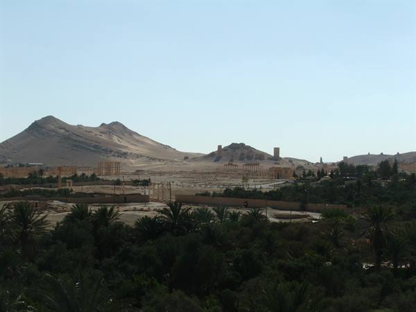 Palmyra