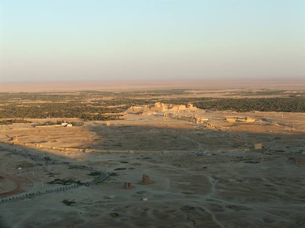 Palmyra