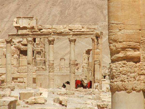 Palmyra