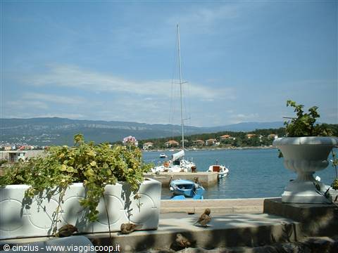 little fishing village.. the little sparrows at the table with us