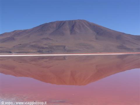Laguna Colorada mirrors the brown mountain in red water under blue sky