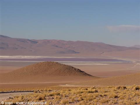 Sandy hill in front of a pink salt lagoon among arid Andean mountains