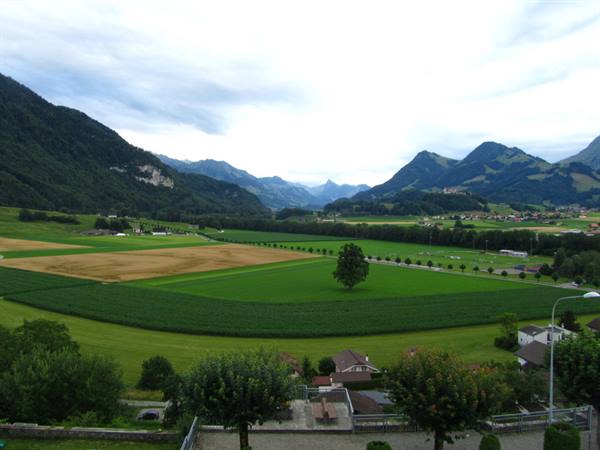 Broc from the hotel terrace
