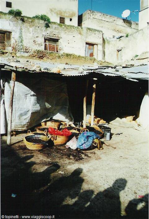 Fes