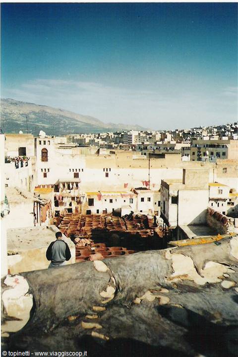 Fes the tanneries