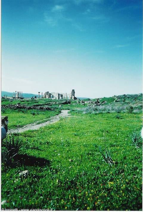Volubilis