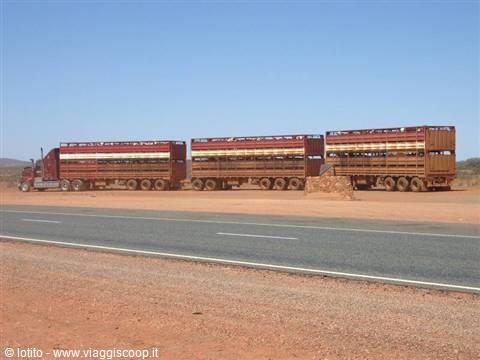 Road train with three cattle trailers stopped on a desert road in the Australian outback