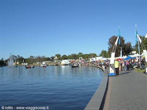 Adelaide: Wine festival