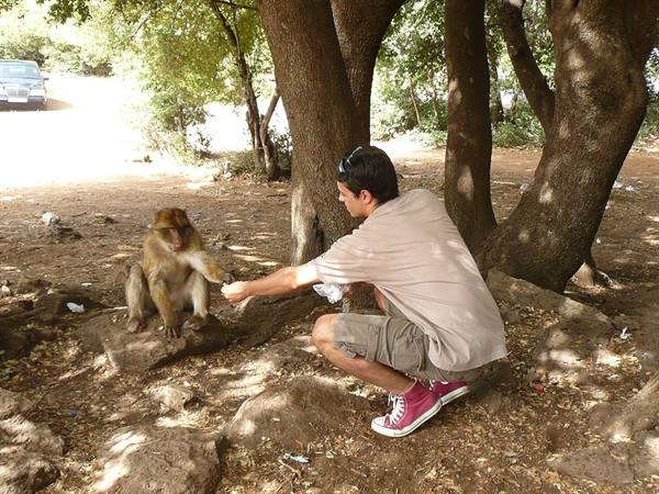Tourist crouching pets a Barbary macaque under shady trees