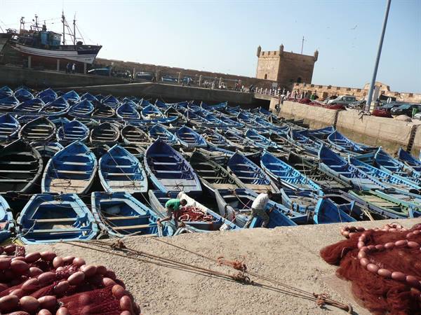 Rows of blue fishing boats in Essaouira port, fishermen working among nets