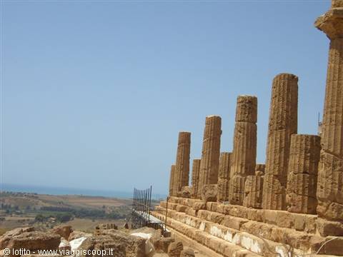 Doric columns of the Temple of Hera Lacinia in Agrigento, golden stone