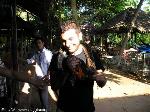 Me and a typical inhabitant of the Mekong delta...