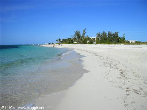 Beach...or paradise?!?