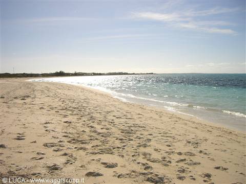 ...wonderful beach towards sunset...