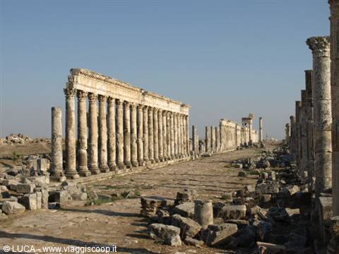 Apamea - The very long cardo