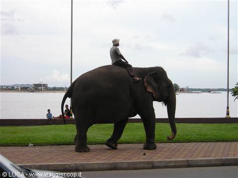 P.P. - traffic on the capital's roads...
