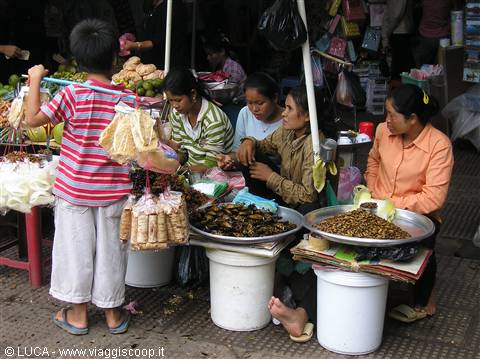 P.P. - Market: fried insects section...