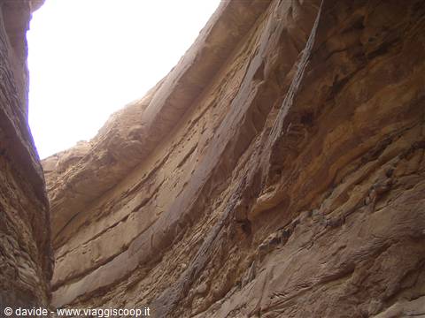 in the depths of the desert