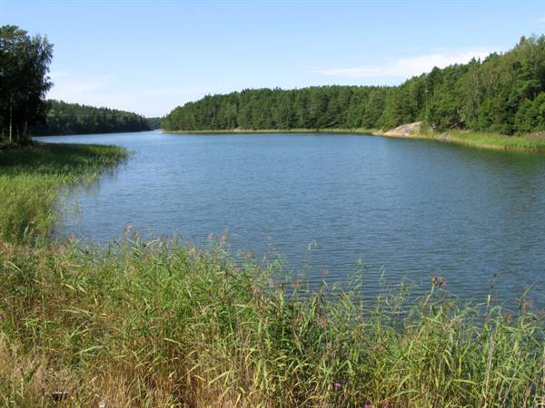 Nagu