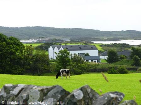 Ardbeg Distillery