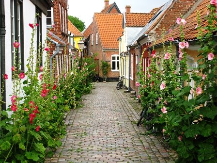 RIBE