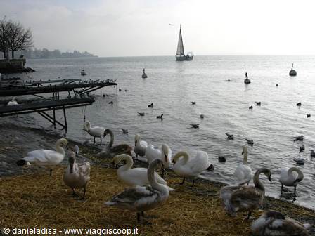 VEVEY