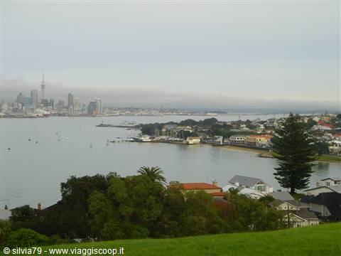 Auckland skyline with Sky Tower seen across the bay from green hillside