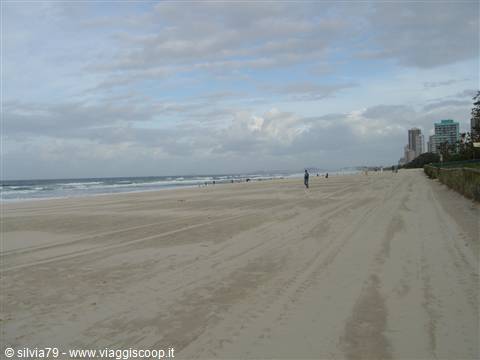 SURFER PARADISE
