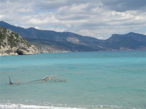 Dead driftwood in turquoise water, rocky mountains along the coast