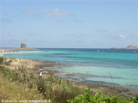 Stintino