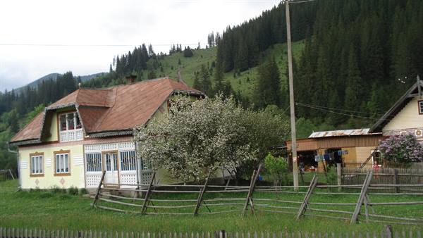 Yellow rural house with wooden roof and fence, forested mountains behind
