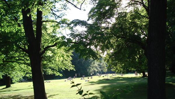 People relaxing on the grass in a leafy park, sunlight through branches