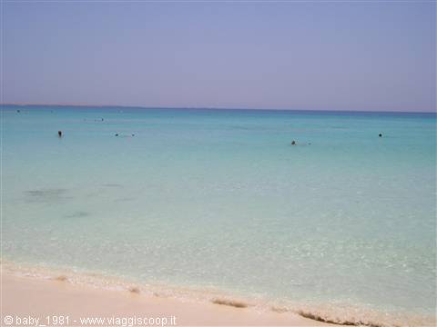 Giftun Island