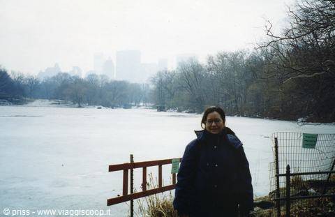 Woman by frozen Central Park lake, skyscrapers in the mist