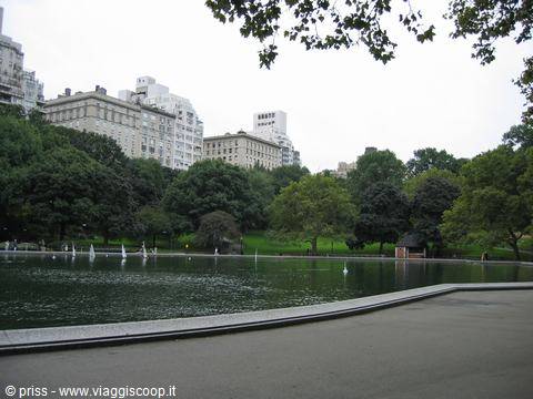 Model sailboats float on the pond surrounded by trees and buildings in Central Park