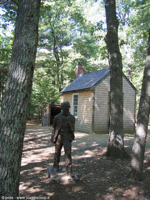 the real fake house of Thoreau